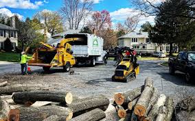 Best Tree Mulching  in Westmorland, CA