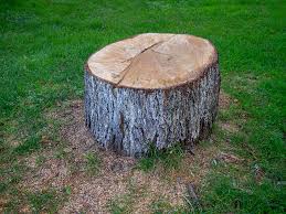Best Lot and Land Clearing  in Westmorland, CA
